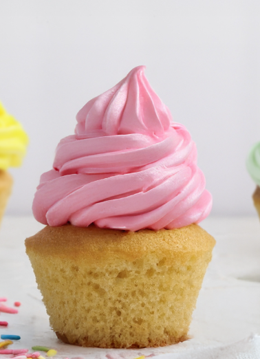 Muffin Mix - 10 Kg   (ViZYON)